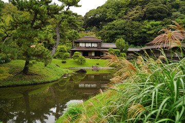日本の横浜市にある三溪園の日本家屋と庭園の芝
