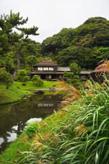日本の横浜市にある三溪園の日本家屋と庭園の芝