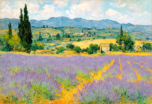 Lavender fields