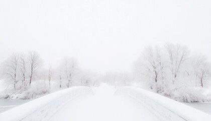 Obraz premium Serene Winter Scene of a Snow-Covered Bridge Crossing a Frozen Landscape with Bare Trees in a Misty Atmosphere