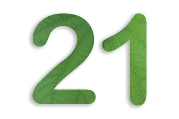 21, number shape with leaf motif design isolated on transparent background