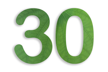 30, number shape with leaf motif design isolated on transparent background