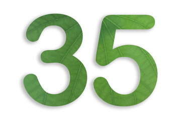 35, number shape with leaf motif design isolated on transparent background