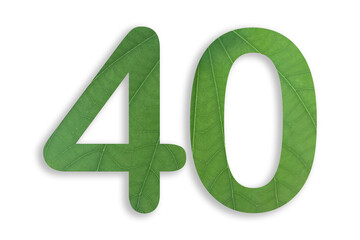 40, number shape with leaf motif design isolated on transparent background