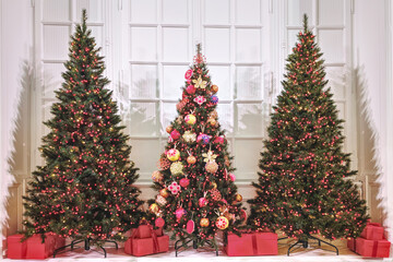 Three Christmas trees adorned with colorful ornaments on the haussmannienne design style white background. French paris style