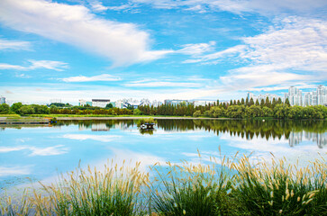 Fototapeta premium Tranquil water of clean pond reflecting skyscrapers and cloudy sky in central park