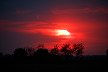Obraz premium Fiery red sunset, silhouetted trees. Dramatic colors, tranquil scene.