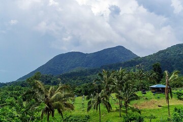 Obraz premium VIEW OF landscape with trees and clouds