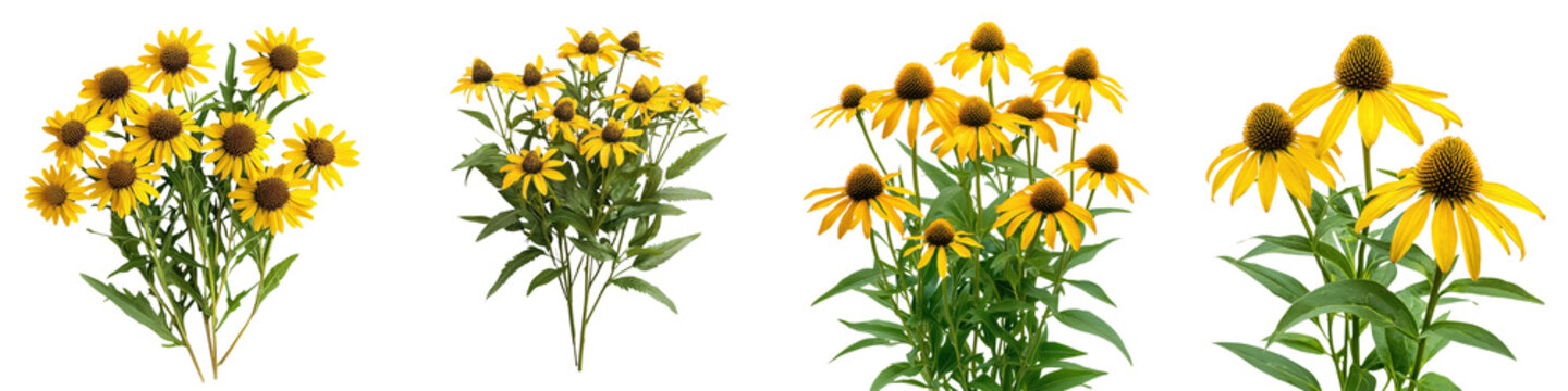 A lush and vibrant prairie coneflower bush in full bloom its bright yellow petals and green foliage creating a captivating natural scene against a bright serene backdrop