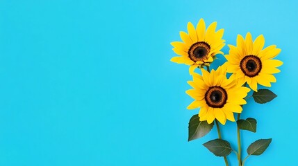Obraz premium Vibrant Sunflowers Blooming in a Bright Blue Sky Creating Feelings of Optimism and Warmth