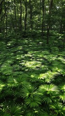 Obraz premium Palm fronds arranged in a circular formation on the forest floor, forest scene, outdoor setting, scenery, nature landscape, leafy plants