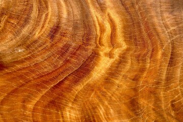 Close-up of the surface of the tamarind wood, emphasizing the rich grain, texture and natural colors. The warm tones and swirling patterns highlight the natural beauty of the wood.