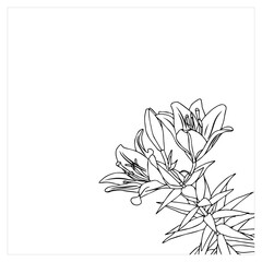 Frame with lilies in doodle style. Element for your design. Vector illustration isolated on white background.