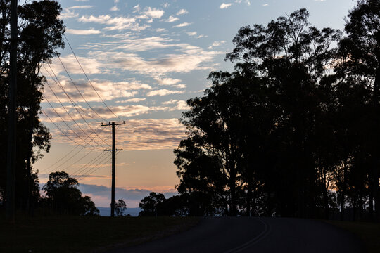 power ole and electricity wires silhouetted in gap between trees at dusk