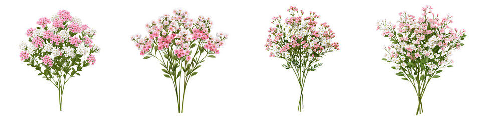 Obraz premium Breathtaking image of a flourishing alyssum plant with delicate white and pink flowers blooming in a lush natural garden setting The soft