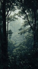 Fototapeta premium Tropical forest with fog in the morning, vintage tone.