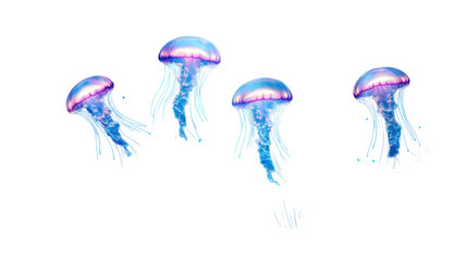 Fototapeta premium Vibrant jellyfish swimming gracefully in water. transparent background