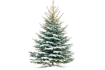 Christmas fir tree with snow isolated on white or transparent background