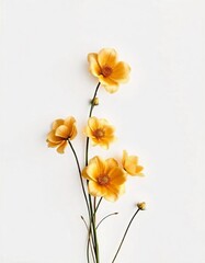 Obraz premium Floral illustration growing from the bottom up , vertical phone wallpaper