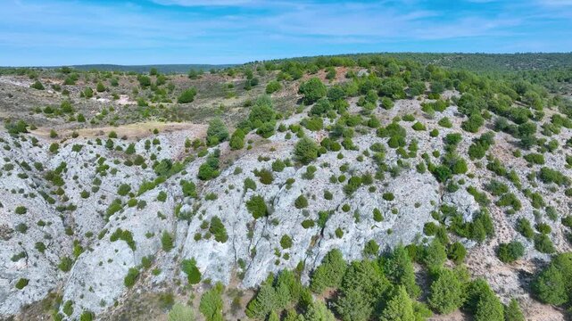 Juniper forest and rocks in the Salinas de Armall&aacute; in Tierzo on the Camino del Cid. Aerial view from drone. Molina Alto Tajo Geopark. Alto Tajo Natural Park. Guadalajara. Castilla la Mancha. Spain. Eu