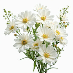 Fototapeta premium flying white flowers isolated on transparent background cutout