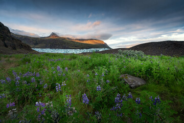 landscape with lake © Sieku Photo