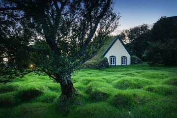 Obraz premium house in the woods