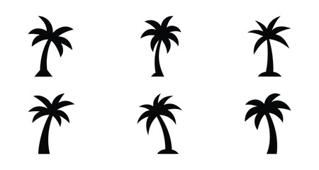 Palm tree icon isolated on white background