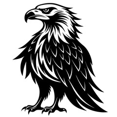 Obraz premium Bearded Vulture Andorra silhouette