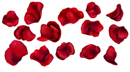 Beautiful red rose petals scattered elegantly, perfect for romantic themes and floral designs