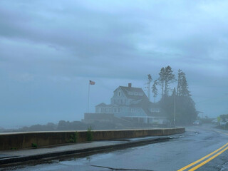 Fototapeta premium Foggy day 