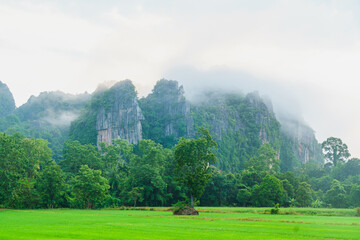 Lush green landscape with misty mountains and trees in background, creating serene and tranquil atmosphere