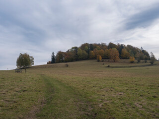 Meadow with dirt road, autumn colorful forest, trees and hills, moody sky. Landscape in Luzicke hory Lusatian Mountains, Czech Republic.