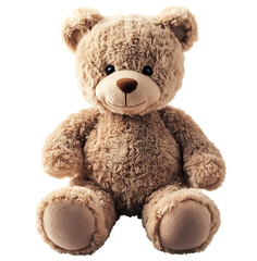 teddy bear isolated on white background