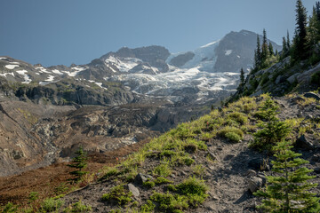 Wonderland Trail Cuts Through Alpine Meadow in Emerald Ridge
