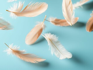 Naklejka premium Floating feathers gliding gracefully, vibrant blue backdrop, essence of lightness and airiness.