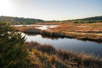 Obraz premium Golden Wetlands of Gialova Lagoon at Sunset