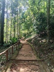 Obraz premium Walkway in the park.