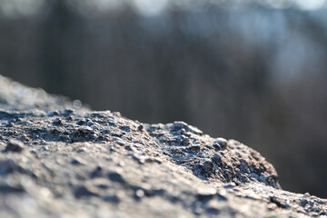 Macro of a Rock Surface with Trees in the Background