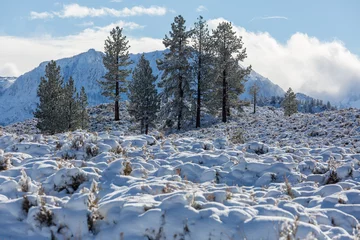 Fototapete Rund Winter mountains © Galyna Andrushko