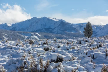 Fototapete Rund Winter mountains © Galyna Andrushko