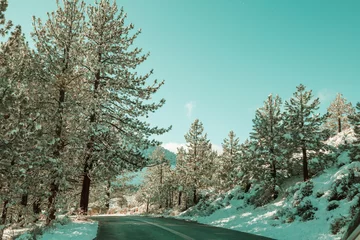 Fototapete Rund Winter road © Galyna Andrushko