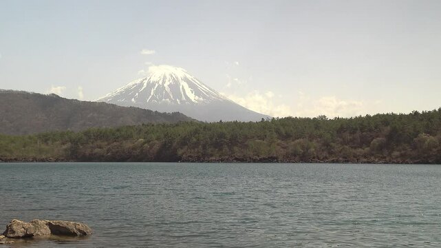 湖と森を手前に聳える雪を被った富士山、固定撮影