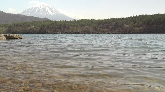 湖と森を手前に聳える雪を被った富士山、固定撮影