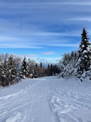 Obraz premium winter landscape with snow