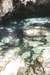 Cenote Minotauro with limestone rocks turquoise water and nature Mexico.