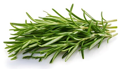 Fototapeta premium rosemary isolated on white background cutout