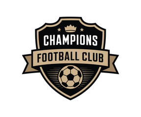 Beautiful young stars logo design for your team or  football club