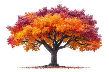 Fototapeta premium A vibrant autumn tree showcasing bright orange, red, and yellow leaves against a white isolated background.