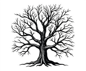 Obraz premium A black and white silhouette of a large tree. Old Tree silhouette vector